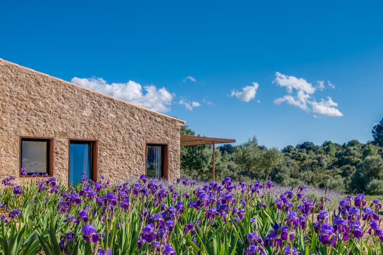 Carrossa Hotel & Spa Arta Bagian luar foto